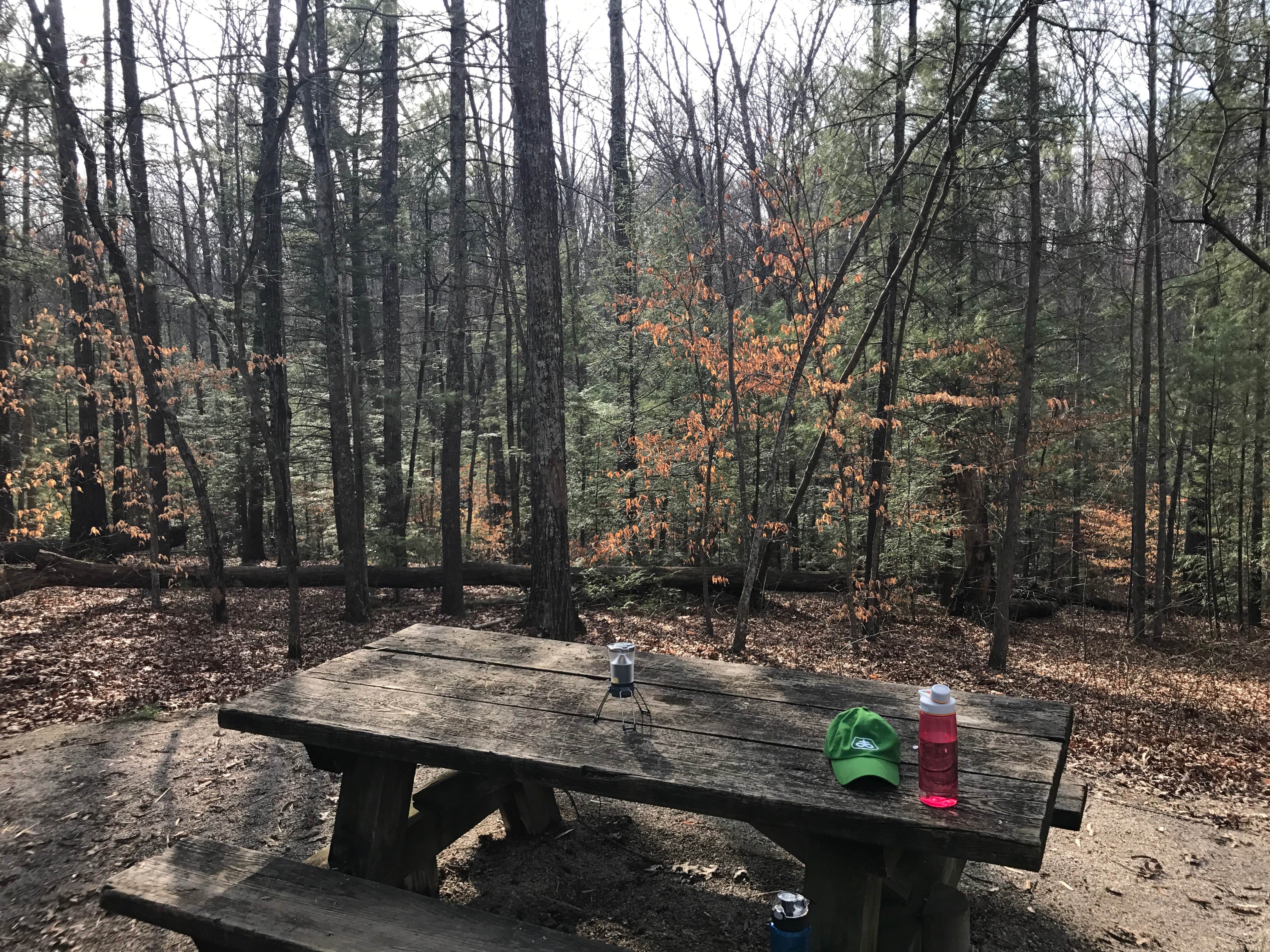 Camper submitted image from Koomer Ridge Campground — Daniel Boone National Forest - 4