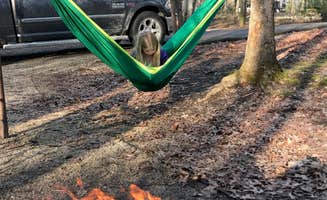 Kyle H.'s photo at Koomer Ridge Campground — Daniel Boone National Forest near Buckhorn Lake