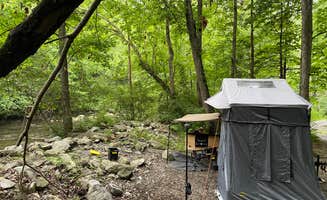 Brent L.'s photo of a dispersed camping area at Sourwood Campground near Topton, NC