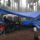 Review photo of Grant Village Campground — Yellowstone National Park by Marlene  R., July 20, 2018