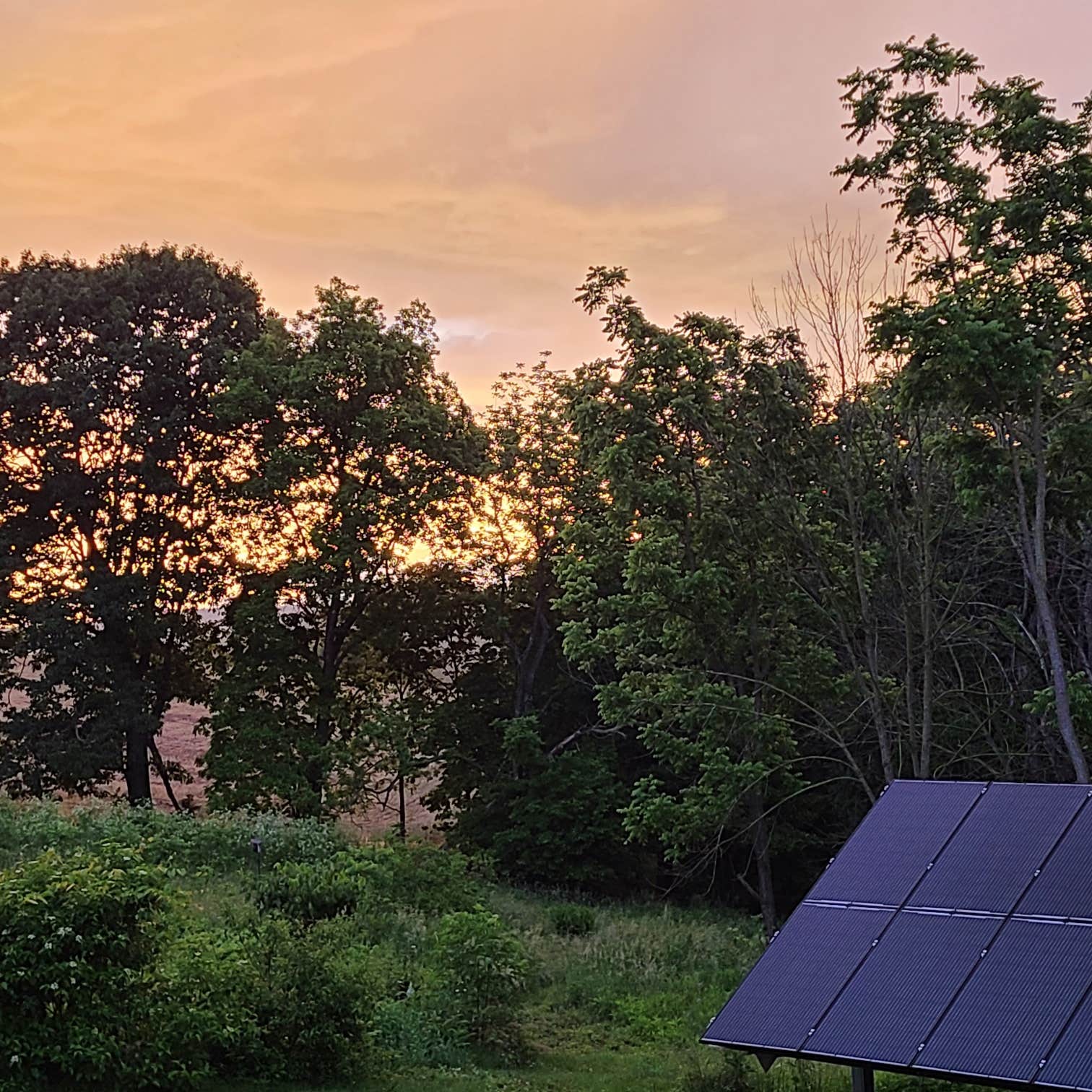 Camper-submitted photo at Hawk Nest Mushroom Farm near Mount Solon, VA