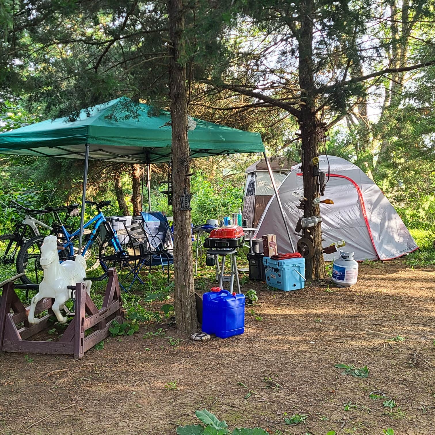orv D.'s photo at Hawk Nest Mushroom Farm in Virginia