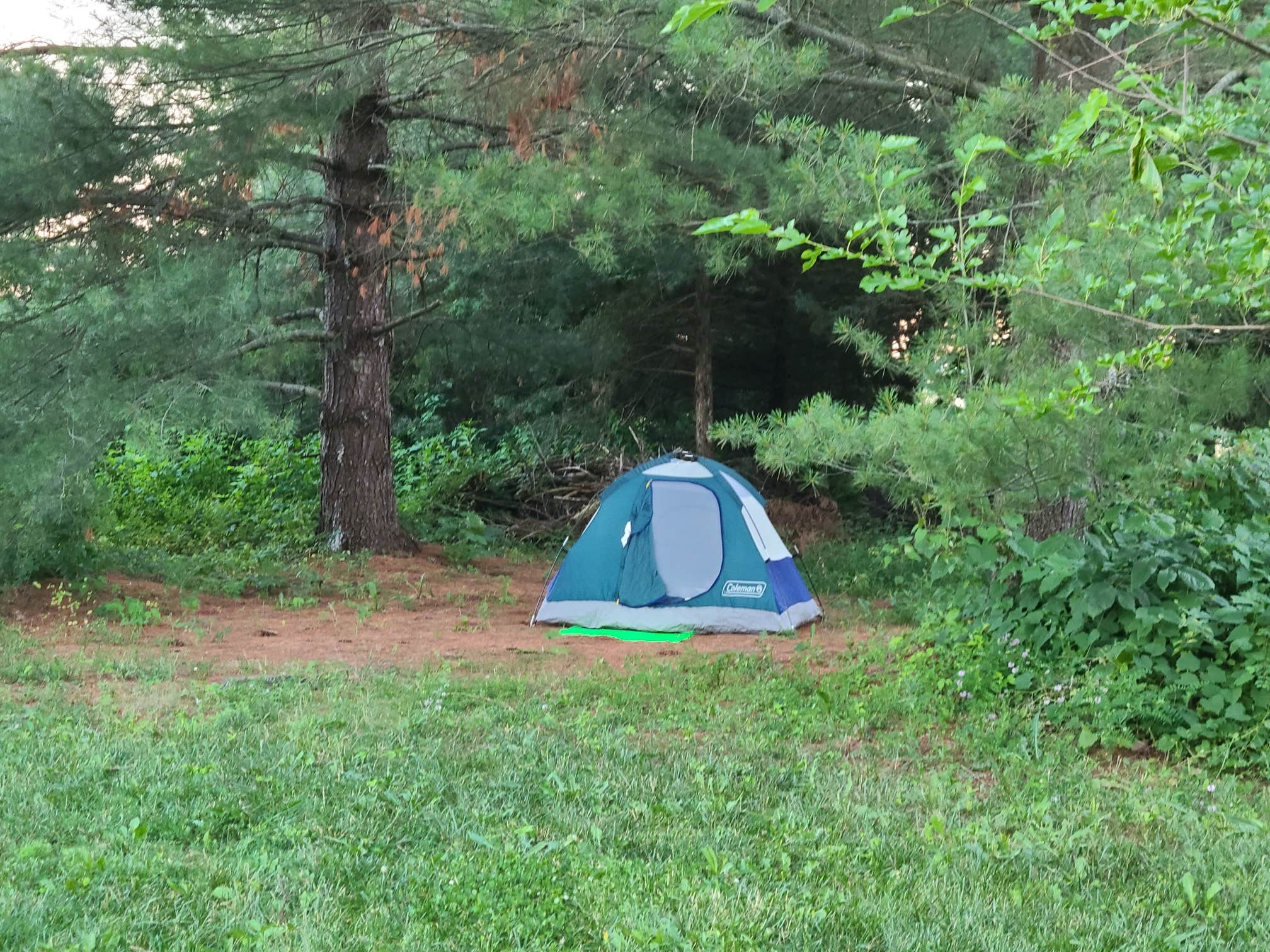 Camper-submitted photo at Hawk Nest Mushroom Farm near Mount Solon, VA