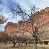 Review photo of Fruita Campground — Capitol Reef National Park by Alyssa L., July 22, 2022