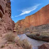 Review photo of Fruita Campground — Capitol Reef National Park by Alyssa L., July 22, 2022