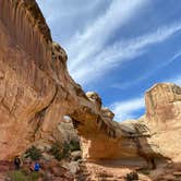 Review photo of Fruita Campground — Capitol Reef National Park by Alyssa L., July 22, 2022