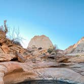 Review photo of Fruita Campground — Capitol Reef National Park by Alyssa L., July 22, 2022