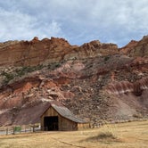 Review photo of Fruita Campground — Capitol Reef National Park by Alyssa L., July 22, 2022
