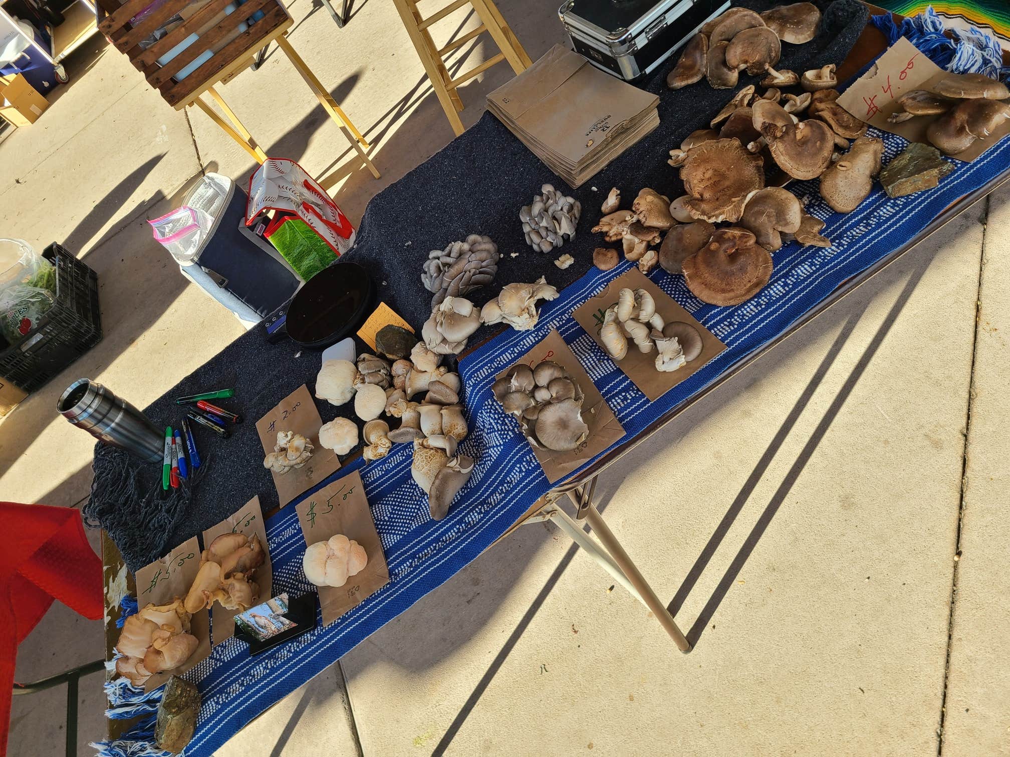 Camper-submitted photo at Hawk Nest Mushroom Farm near Mount Solon, VA