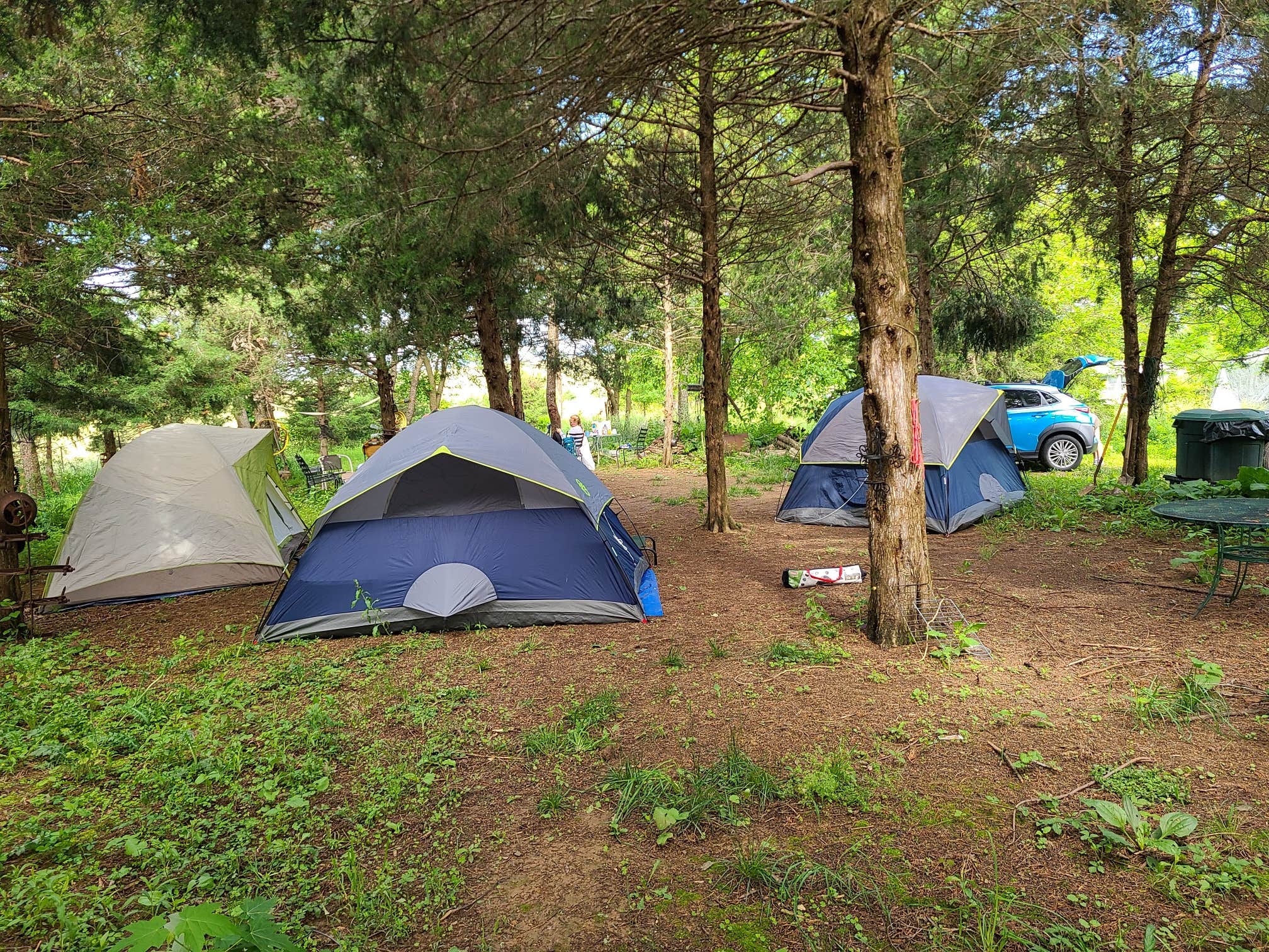 Camper-submitted photo at Hawk Nest Mushroom Farm near Singers Glen, VA