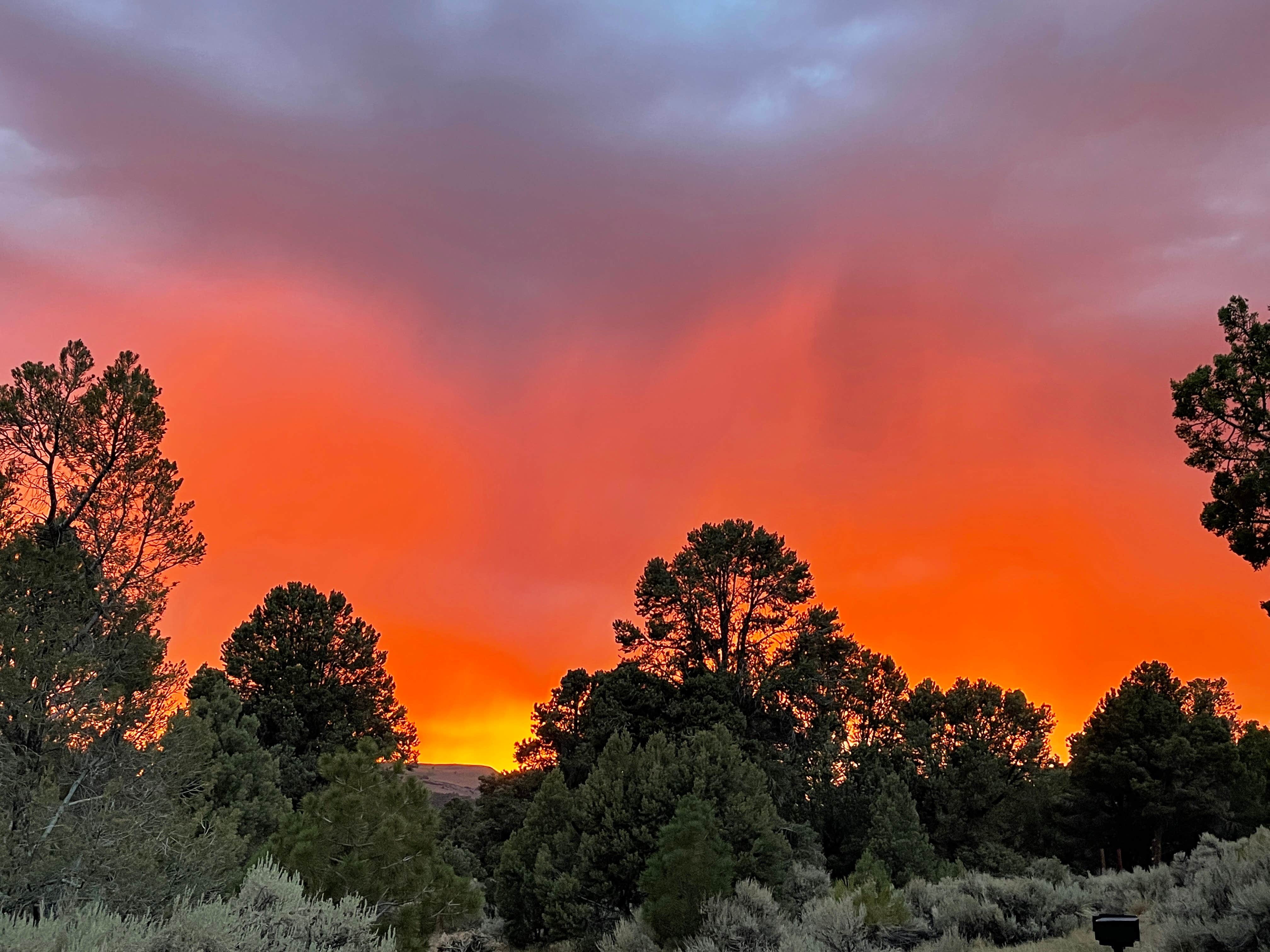 Camper-submitted photo at Bob Scott Campground near Austin, NV