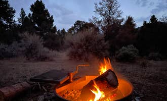 Camping near Hickison Petroglyph: Bob Scott Campground, Austin, Nevada