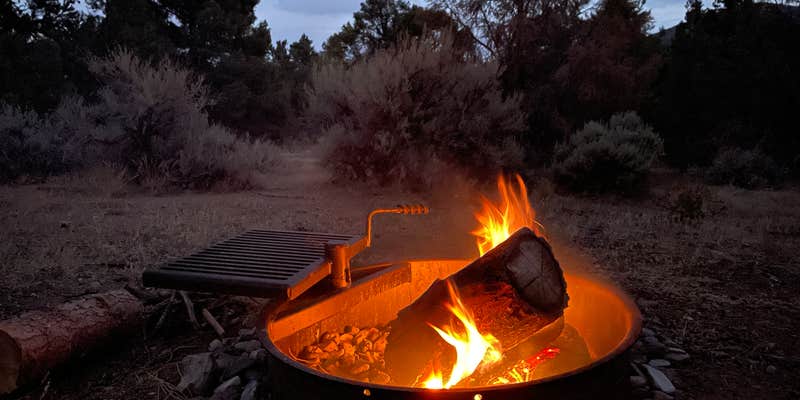 Camper submitted image from Bob Scott Campground