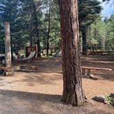 Review photo of Blue Spruce RV Park & Cabins by Amy & Stu B., July 22, 2022