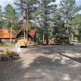 Review photo of Blue Spruce RV Park & Cabins by Amy & Stu B., July 22, 2022