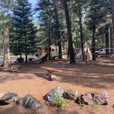 Review photo of Blue Spruce RV Park & Cabins by Amy & Stu B., July 22, 2022