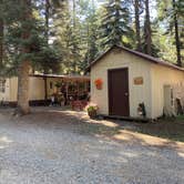 Review photo of Blue Spruce RV Park & Cabins by Amy & Stu B., July 22, 2022