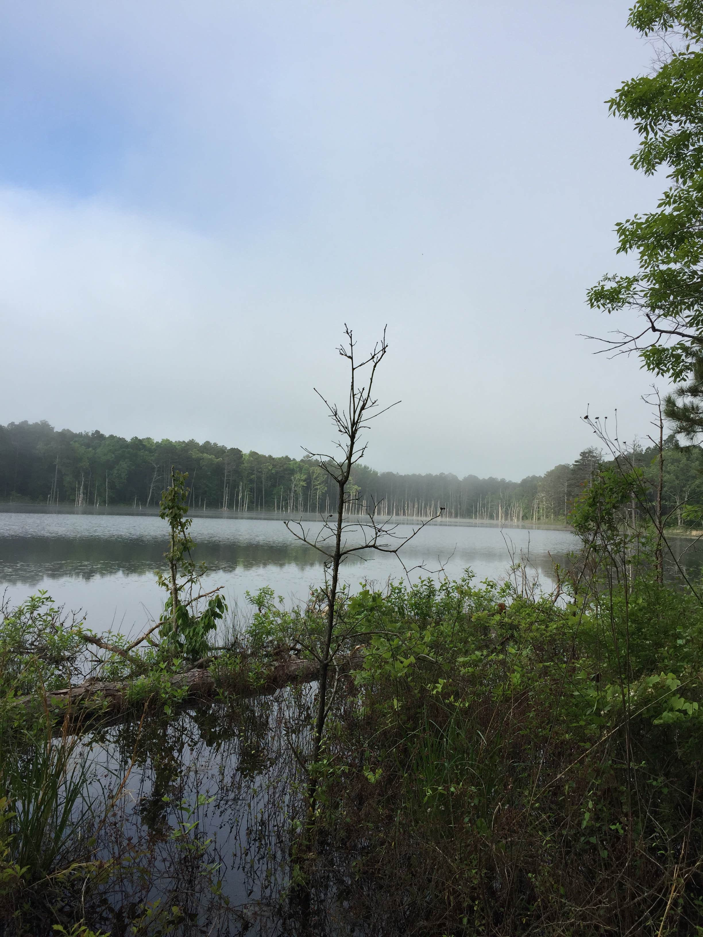 Camper submitted image from Pinewoods Lake Rec Area — Mark Twain National Forest - 3