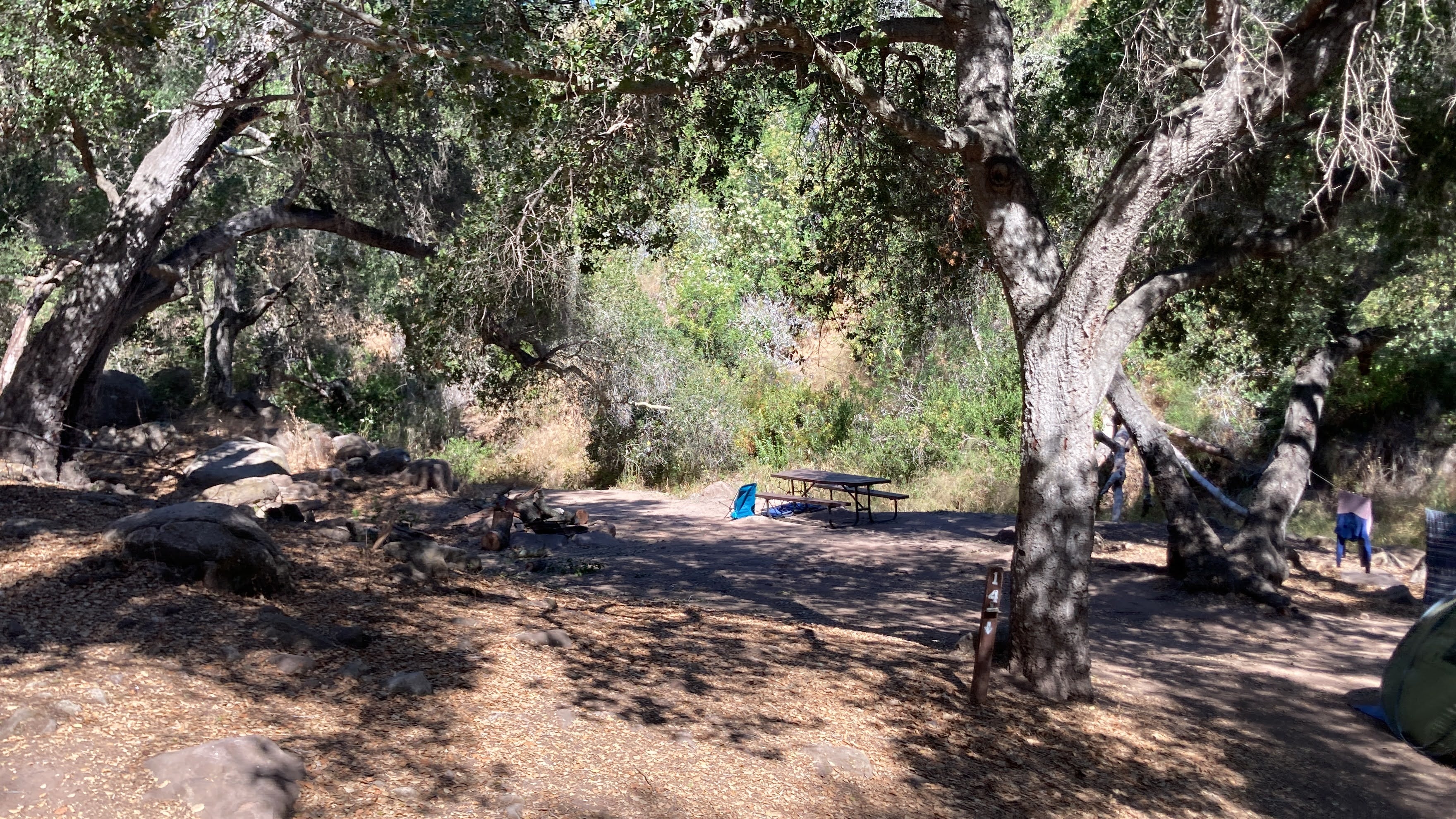 Camper submitted image from Foster Residence Campground - 5
