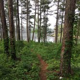 Review photo of Pinewoods Lake Rec Area — Mark Twain National Forest by Bill S., July 20, 2018