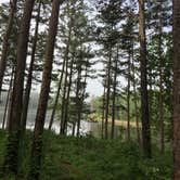 Review photo of Pinewoods Lake Rec Area — Mark Twain National Forest by Bill S., July 20, 2018