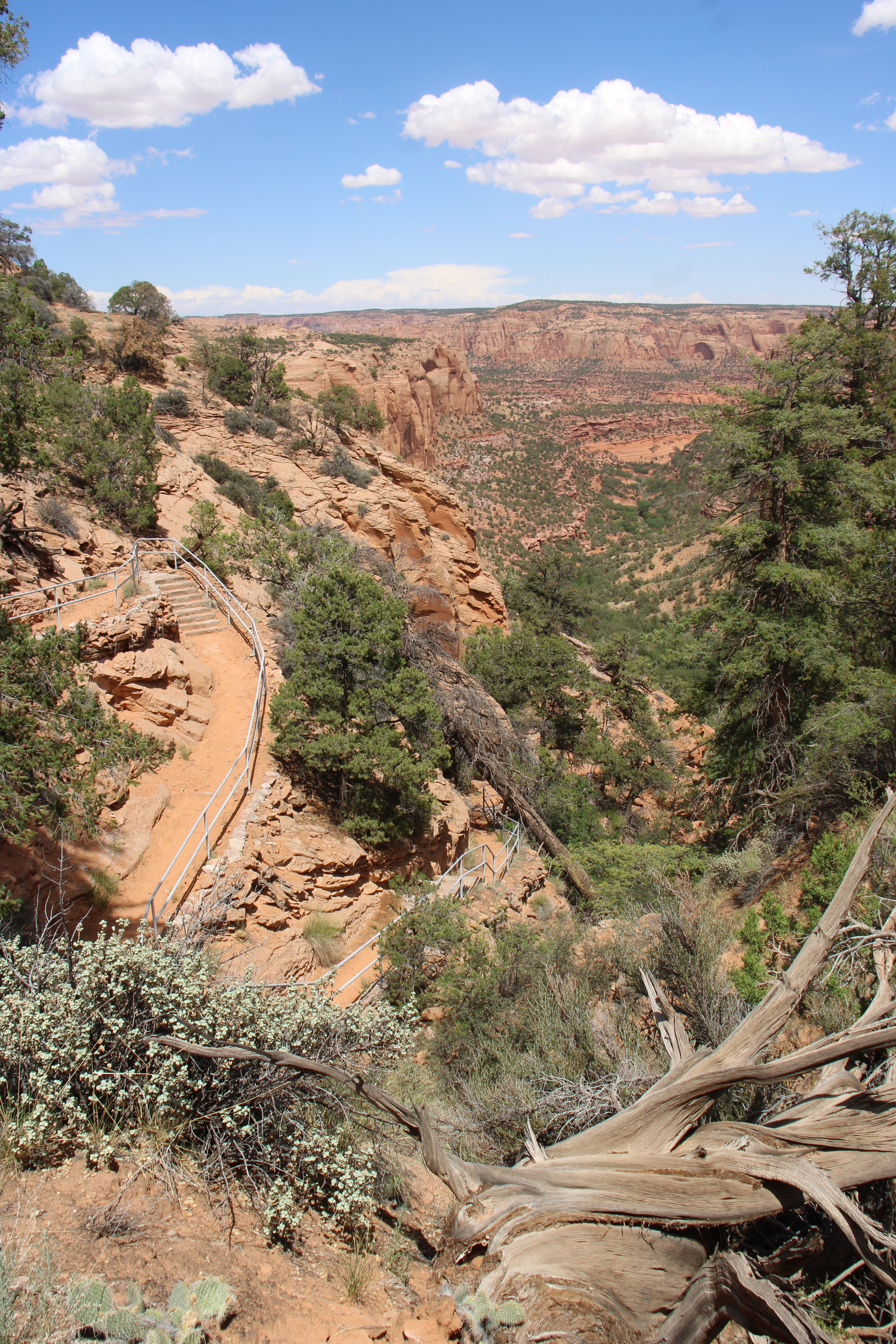 Camper submitted image from Navajo National Monument Canyon View Campground - 1