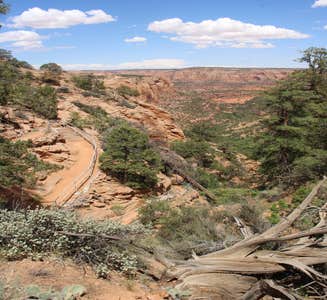 Camper-submitted photo from Navajo National Monument Canyon View Campground