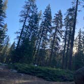 Review photo of Upper Stony Creek Campground — Sequoia National Forest by Veronica S., July 22, 2022