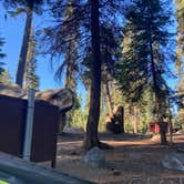 Review photo of Upper Stony Creek Campground — Sequoia National Forest by Veronica S., July 22, 2022