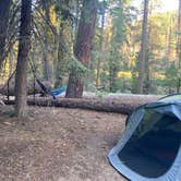 Review photo of Stony Creek Campground - Sequoia National Forest by Veronica S., July 22, 2022