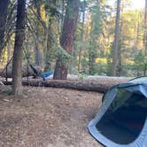 Review photo of Upper Stony Creek Campground — Sequoia National Forest by Veronica S., July 22, 2022