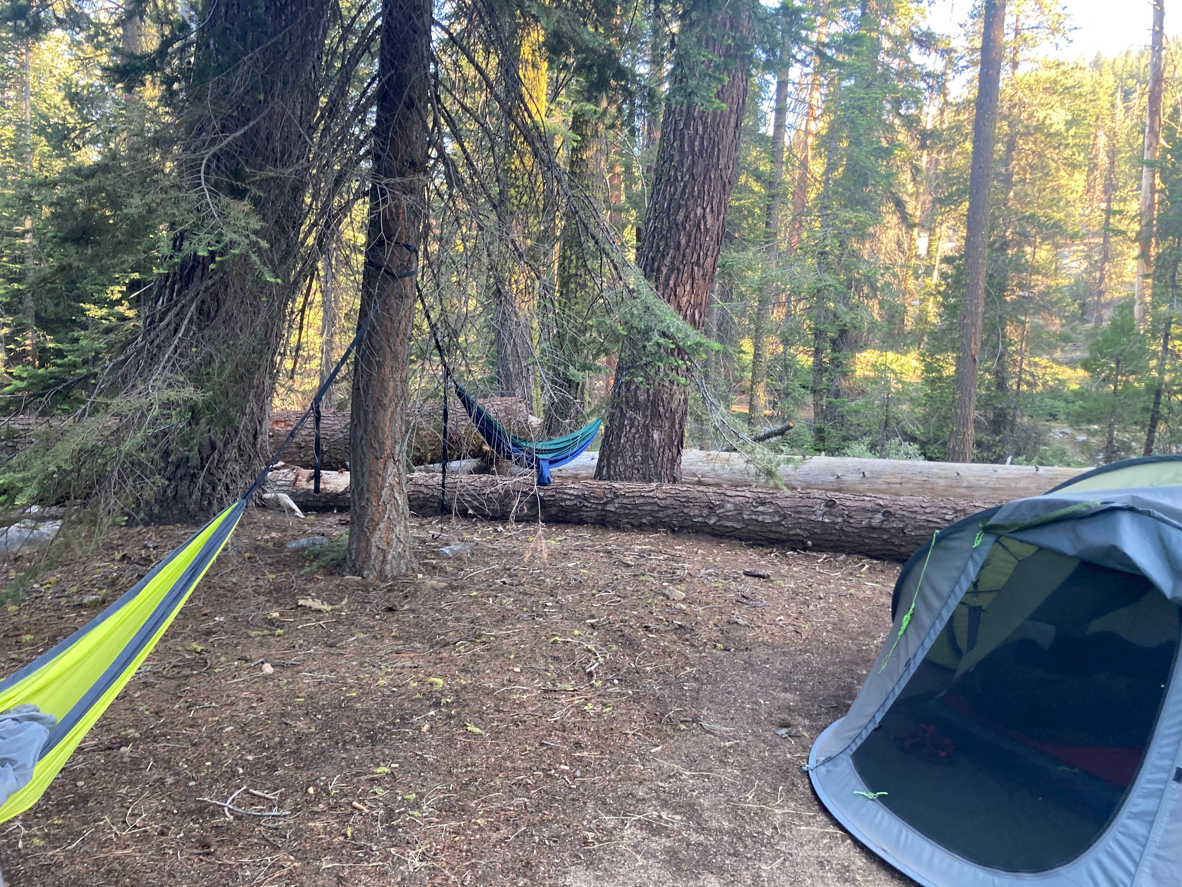 Camper submitted image from Upper Stony Creek Campground — Sequoia National Forest - 4