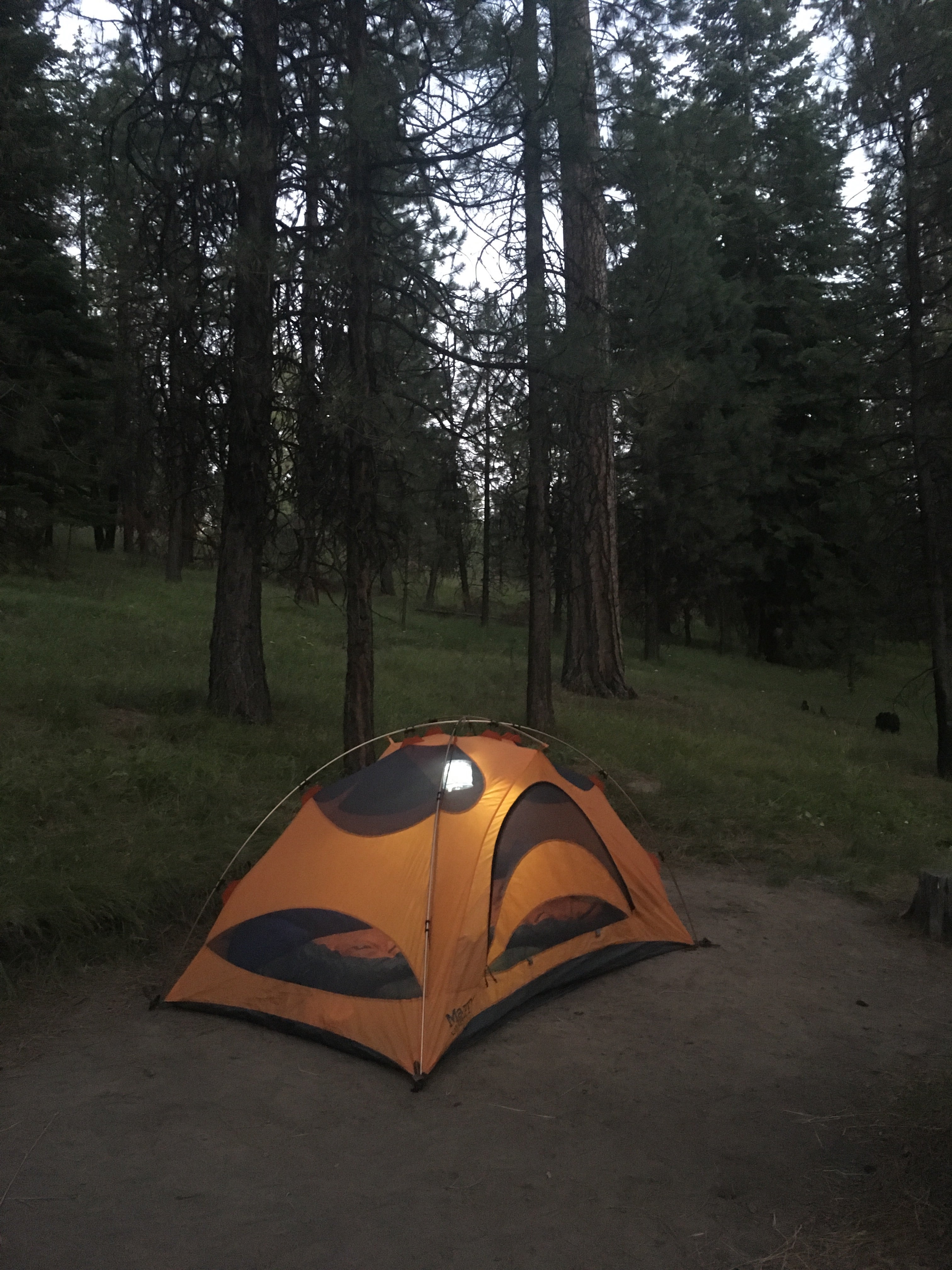 Camper submitted image from Ochoco Forest Camp - 2