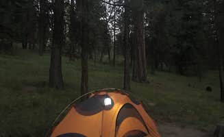 Kelsea B.'s photo of tent camping at Ochoco Forest Camp near Terrebonne, OR