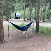 Review photo of West Chicago Creek by Veronica S., July 22, 2022