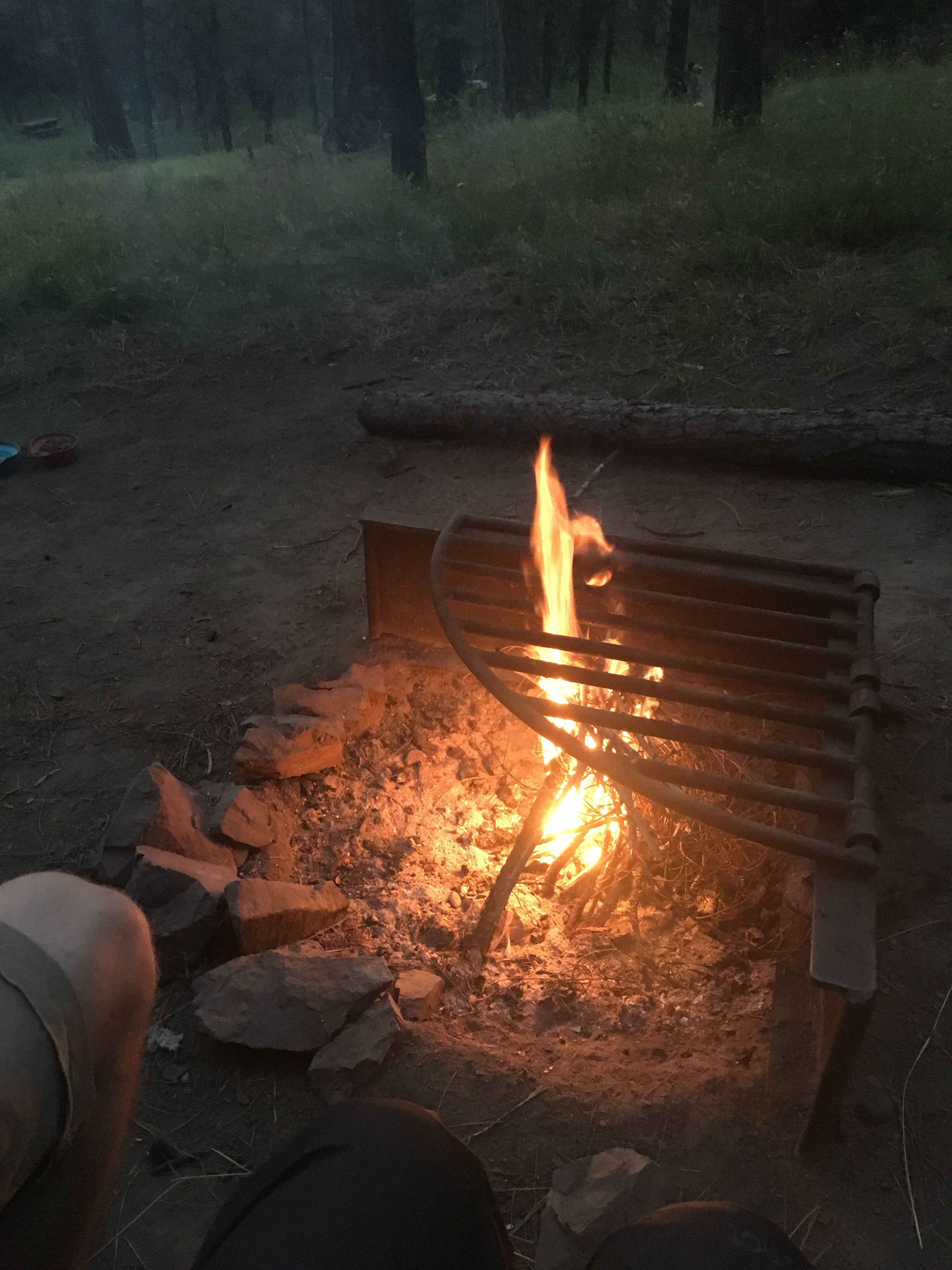 Camper submitted image from Ochoco Forest Camp - 1