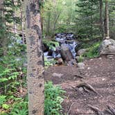 Review photo of West Chicago Creek by Veronica S., July 22, 2022