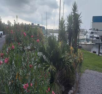 Camper-submitted photo from New Orleans RV Resort & Marina
