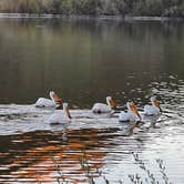 Review photo of Iron Gate Reservoir by Lori I., July 22, 2022