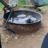 Review photo of Buckeye Flat Campground — Sequoia National Park by Andrea M., July 22, 2022