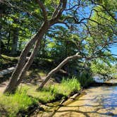 Review photo of Pines Campground — Ludington State Park by Amanda S., July 23, 2022