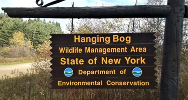 Hanging Bog Big Bass Serenity Camp 
