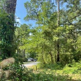 Review photo of Carolina Beach State Park Campground by Claire K., July 23, 2022