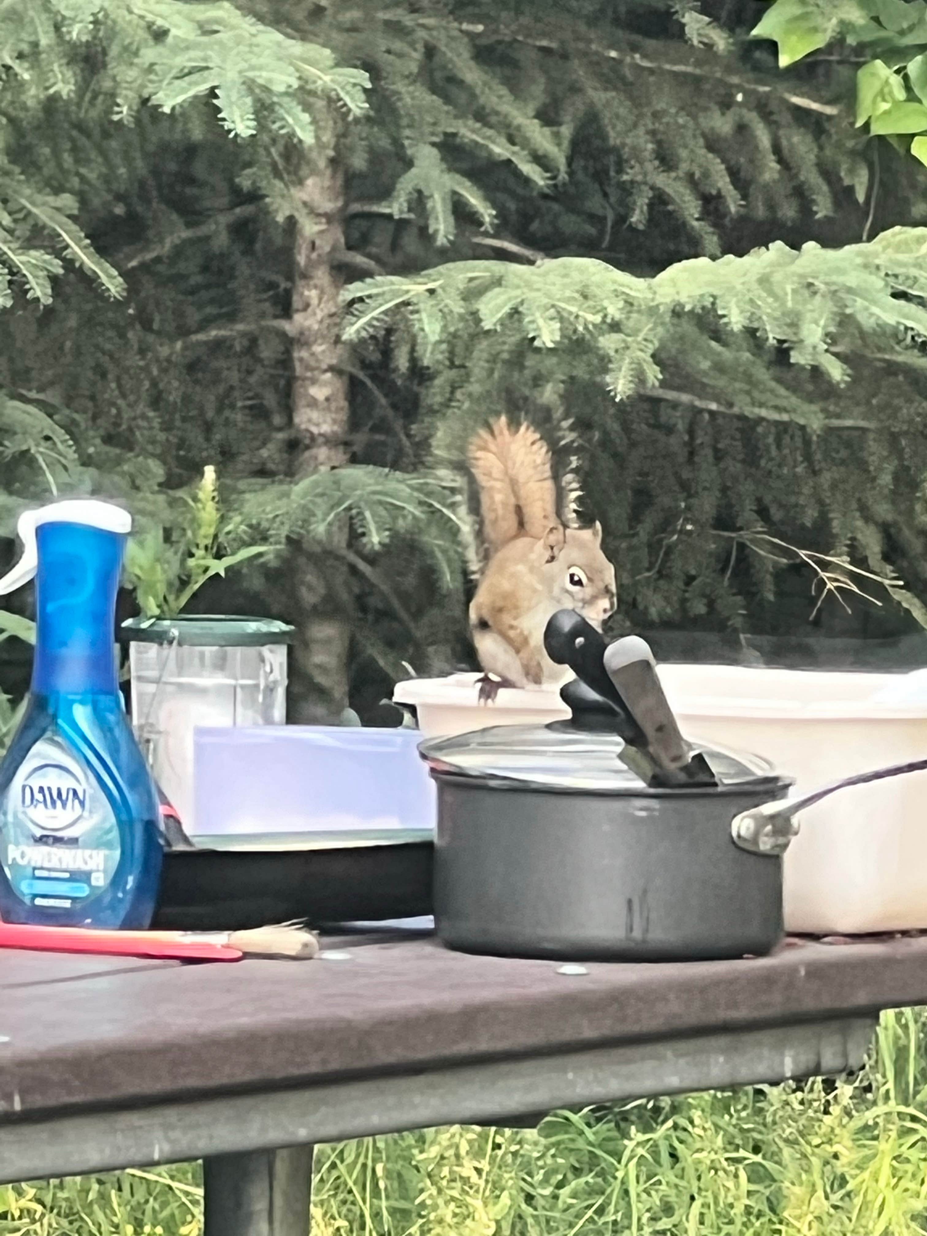 Lower Chatanika State Recreation Area