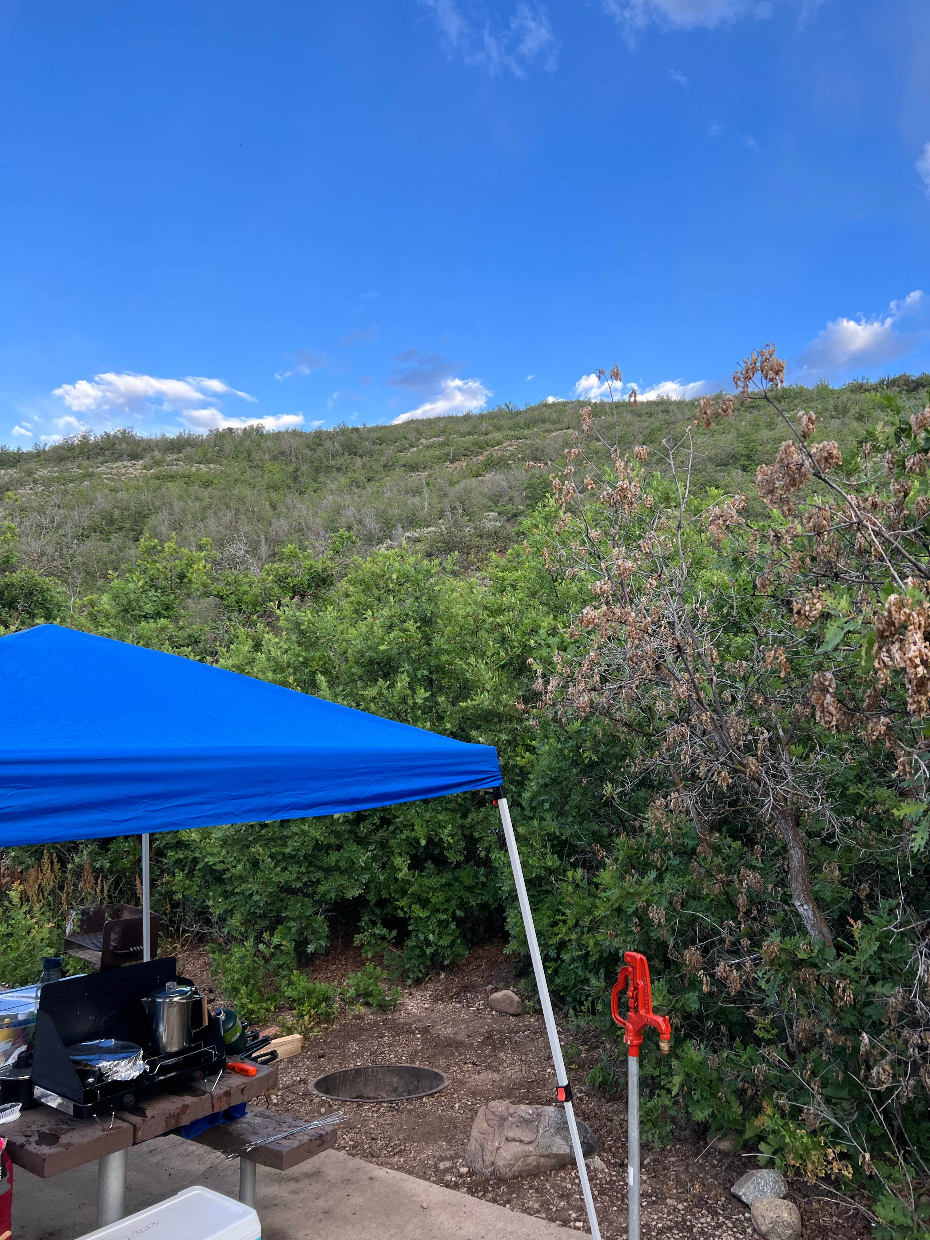 Camper-submitted photo at Pine Creek Campground — Wasatch Mountain State Park near Heber, UT