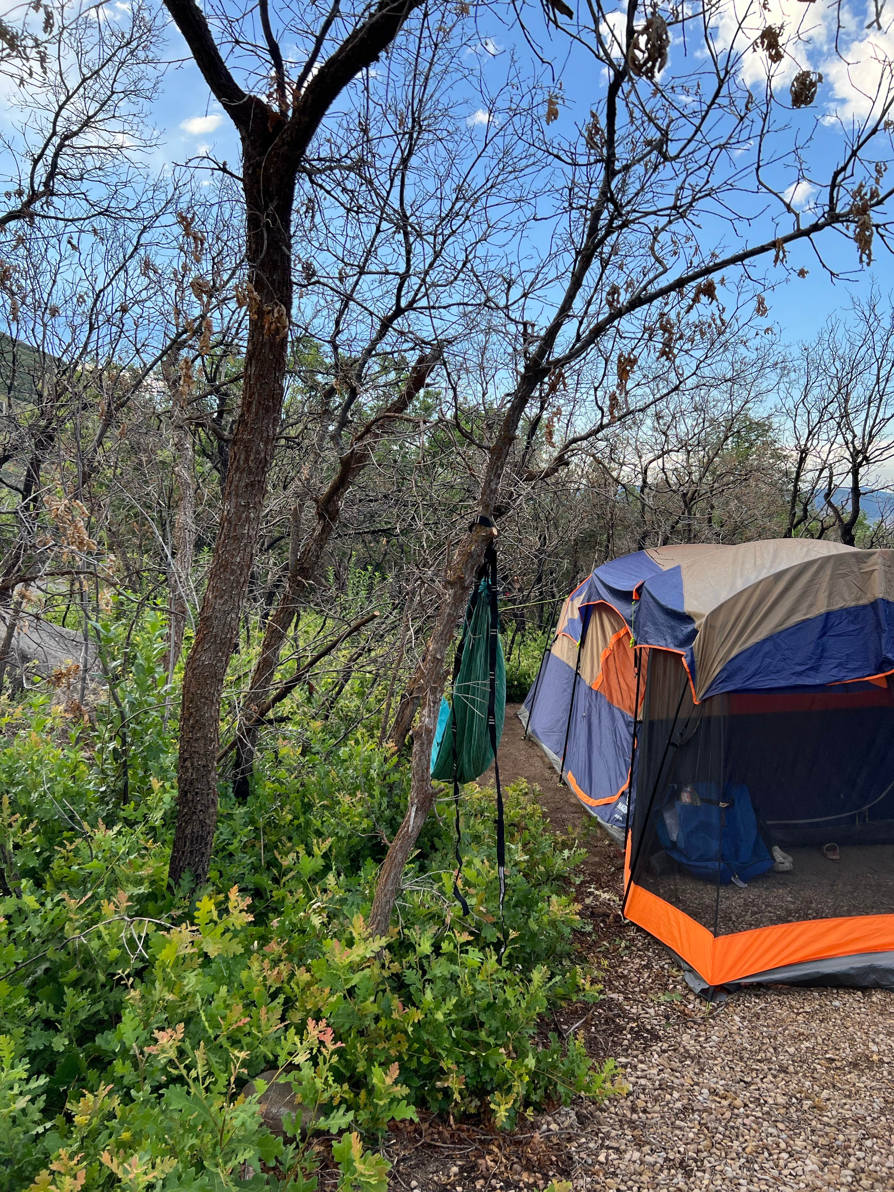 Camper-submitted photo at Pine Creek Campground — Wasatch Mountain State Park near Heber, UT