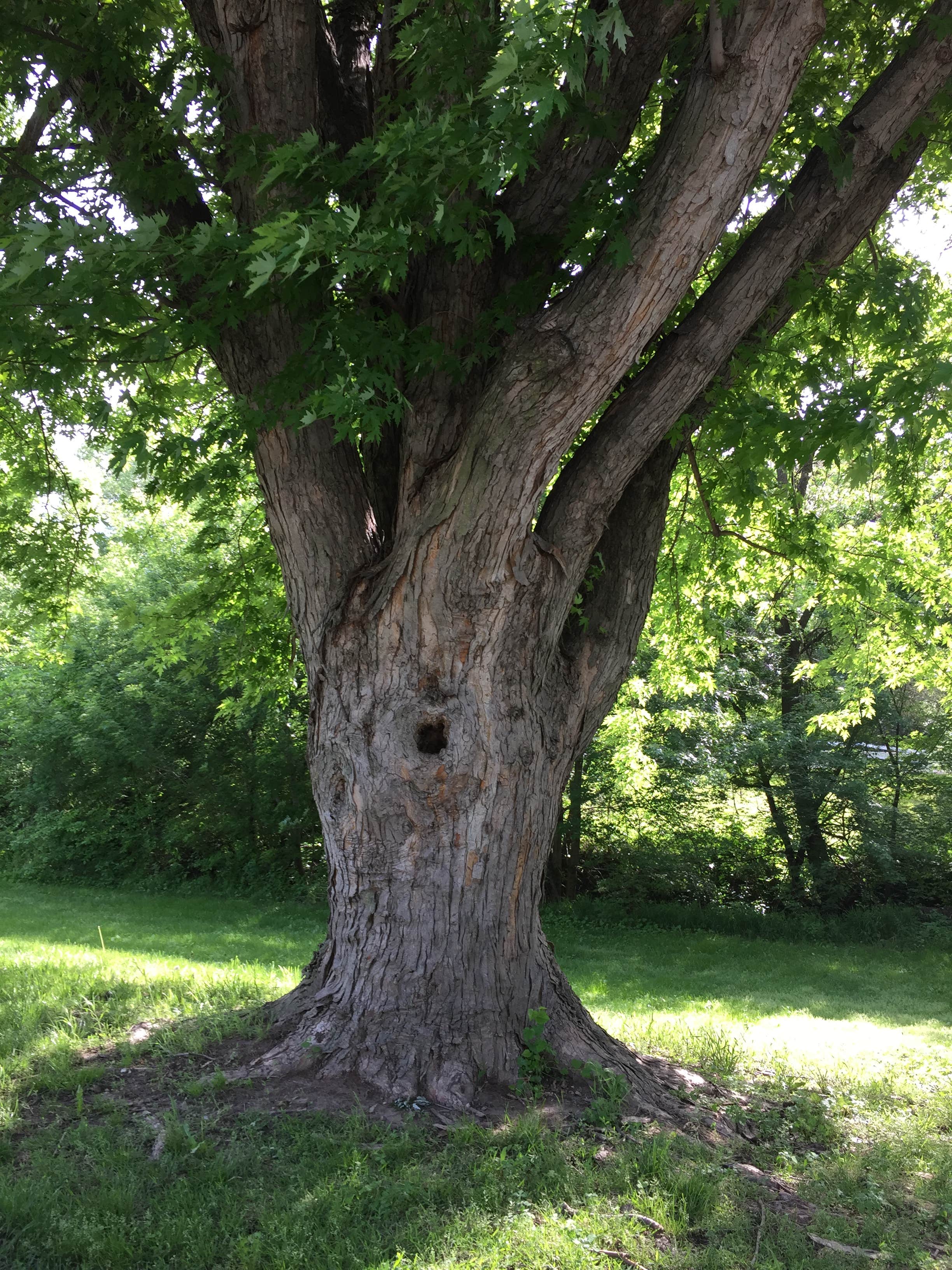 Camper-submitted photo at Streeter Park Campground in Nebraska