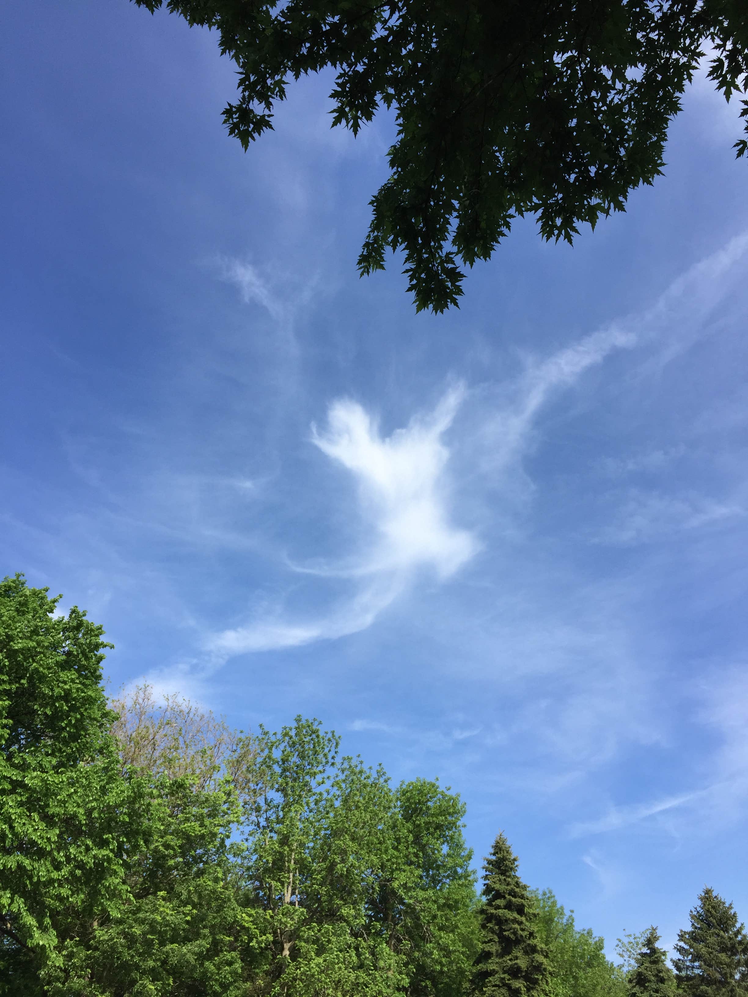 Camper-submitted photo at Streeter Park Campground in Nebraska