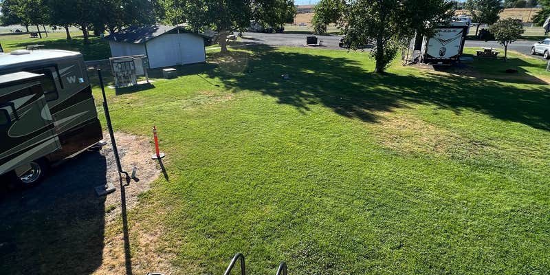 Camper submitted image from Umatilla Marina and RV ParkPublic