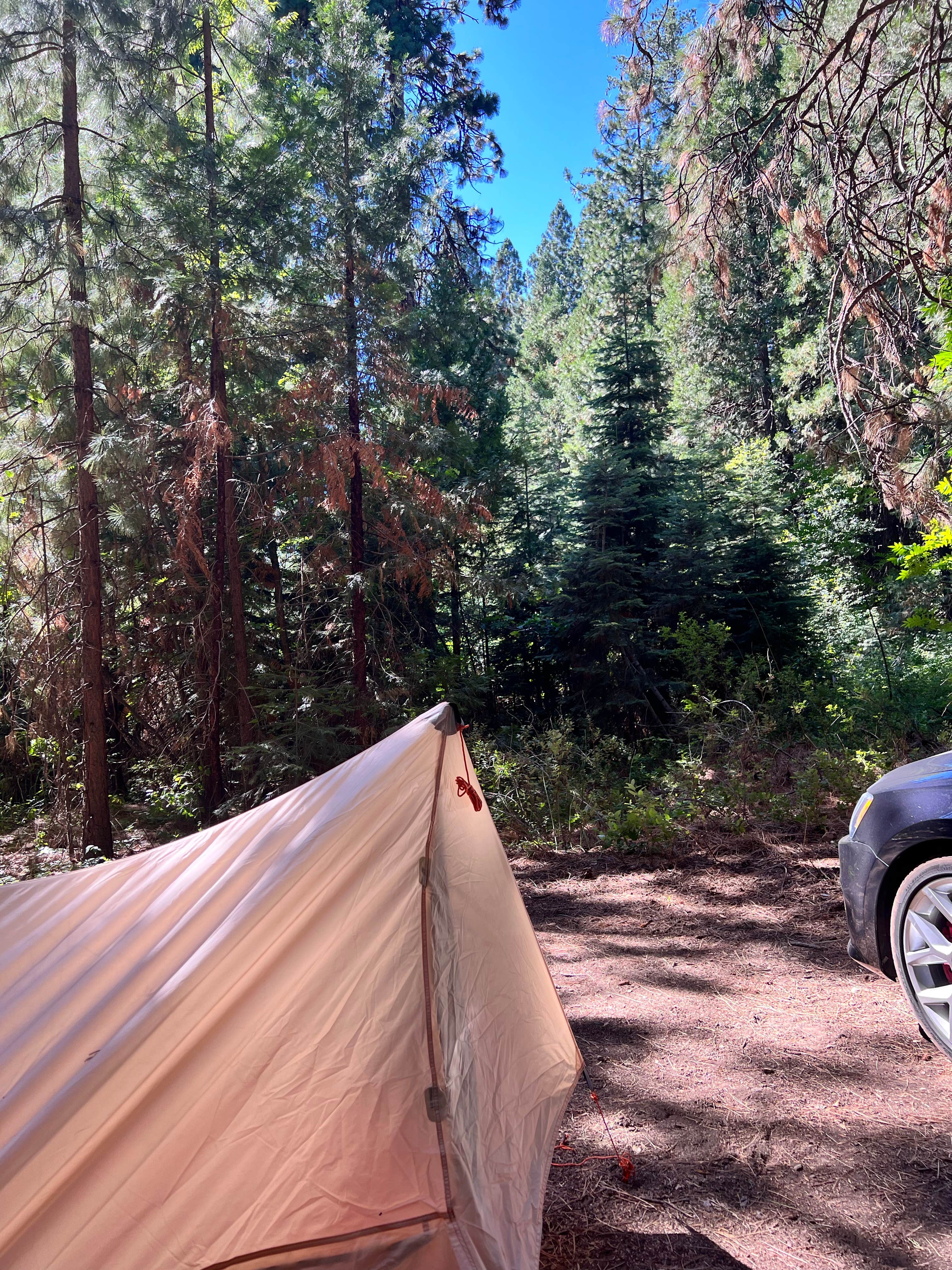Jon's photo at Mount Shasta City KOA Holiday near Dunsmuir, CA
